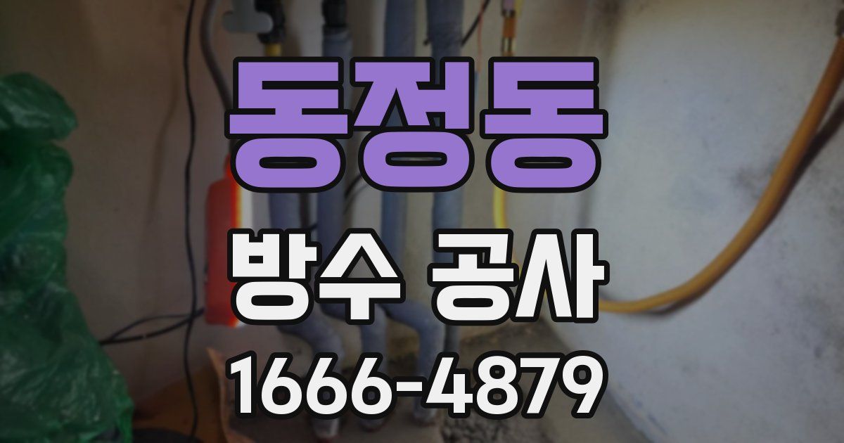 동정동 방수 공사