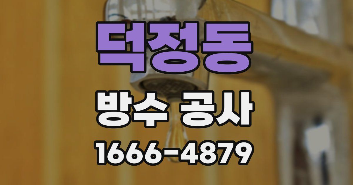 덕정동 방수 공사