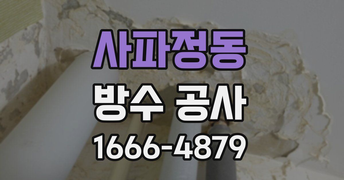 사파정동 방수 공사
