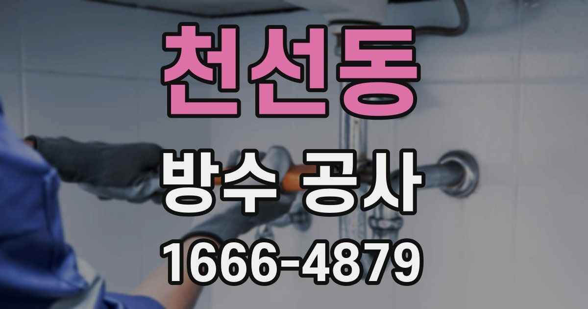 천선동 방수 공사