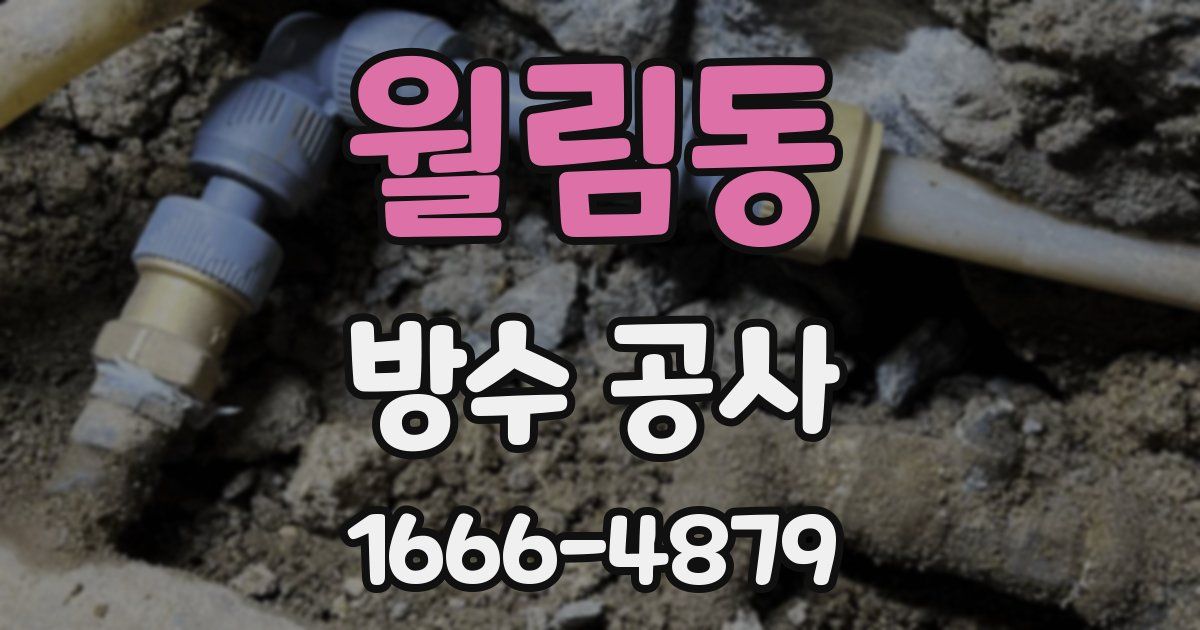 월림동 방수 공사