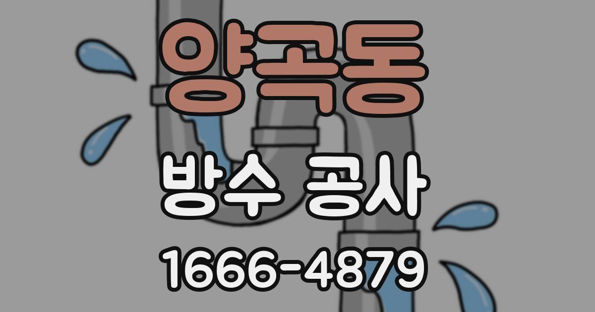 양곡동 방수 공사