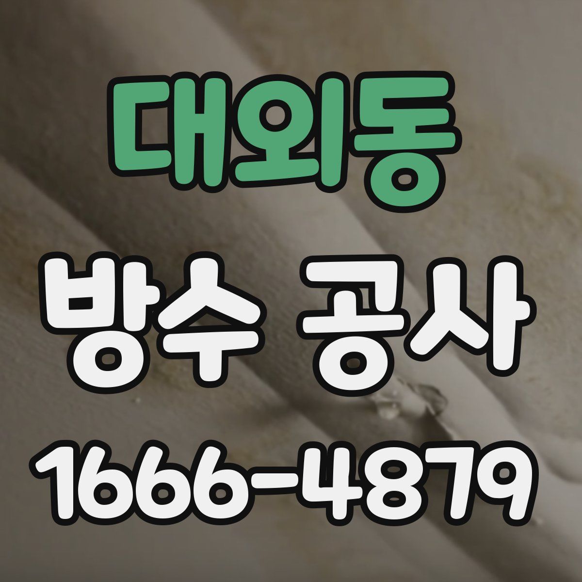 대외동 방수 공사