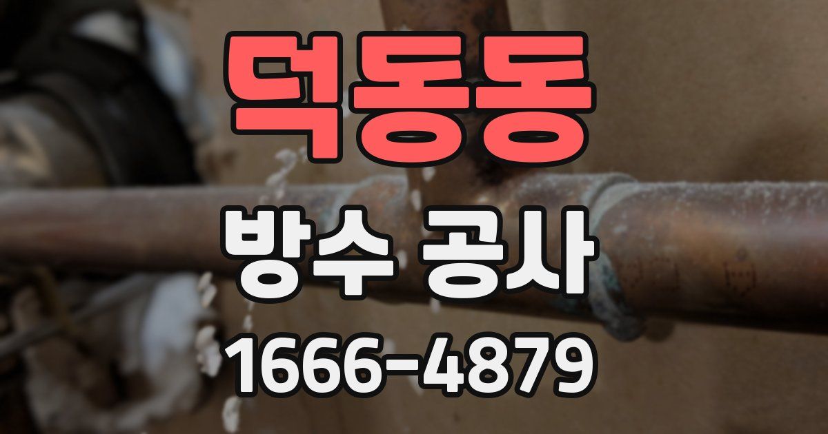 덕동동 방수 공사