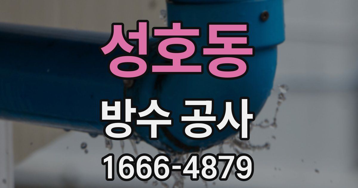 성호동 방수 공사