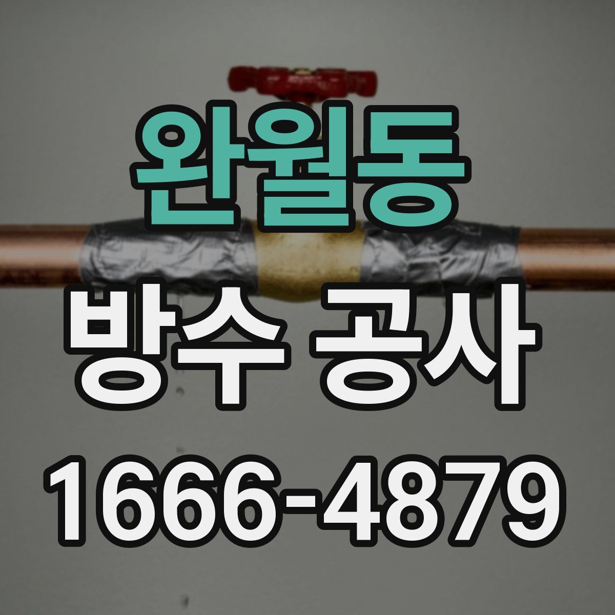 완월동 방수 공사