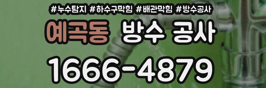 예곡동 방수 공사