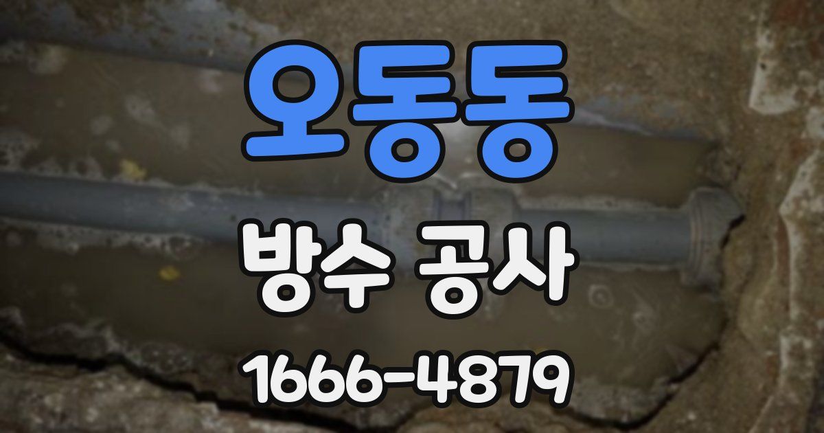 오동동 방수 공사