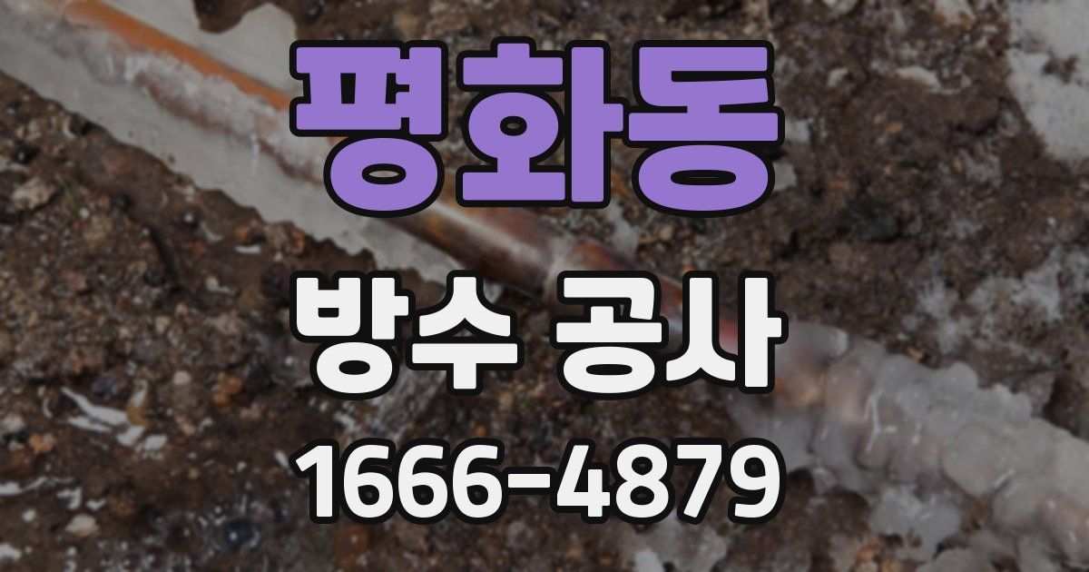 평화동 방수 공사
