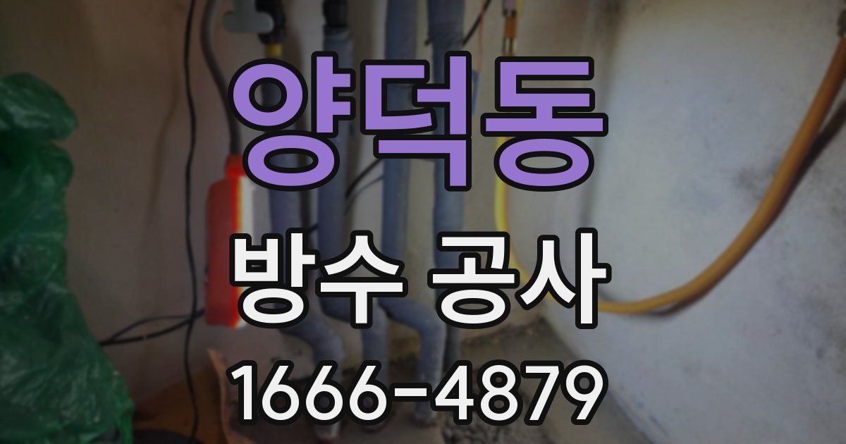 양덕동 방수 공사