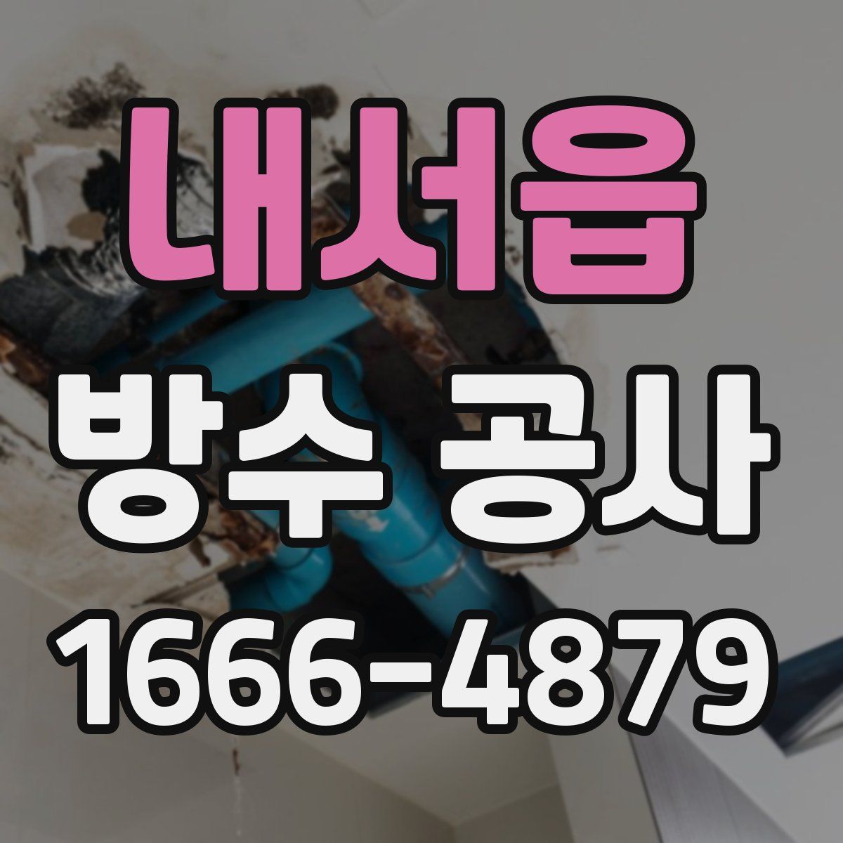 내서읍 방수 공사