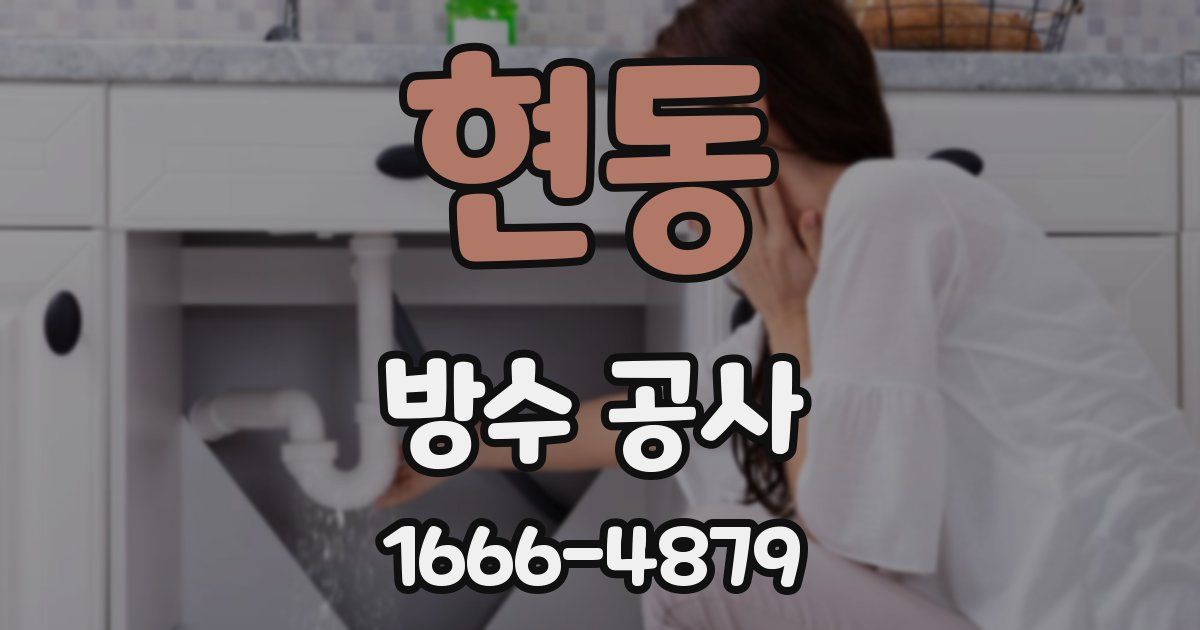 현동 방수 공사