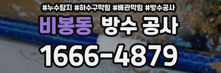 비봉동 방수 공사
