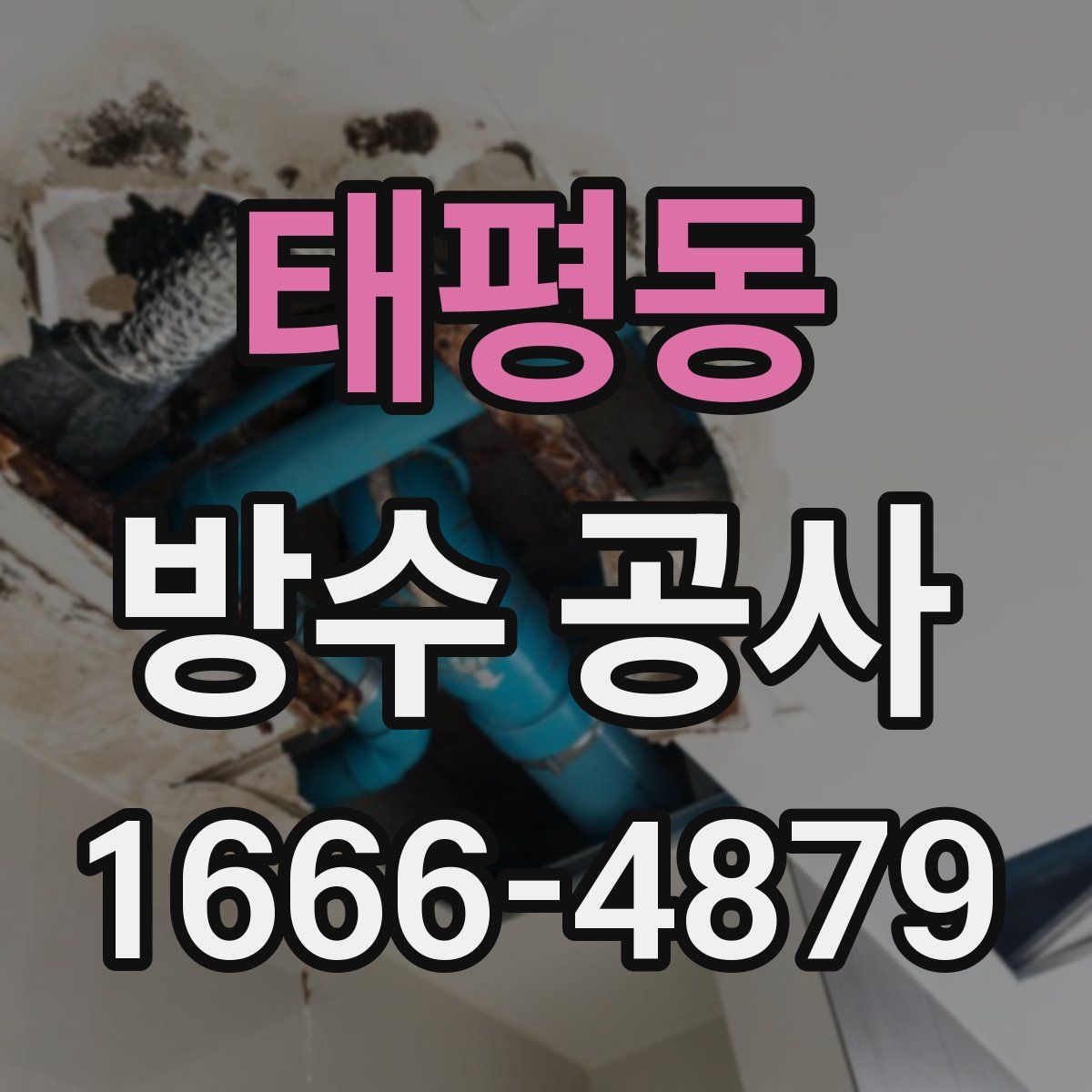 태평동 방수 공사