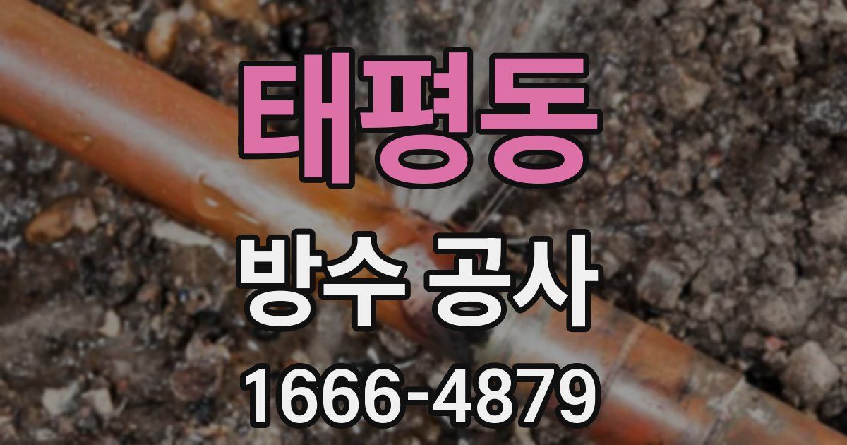 태평동 방수 공사