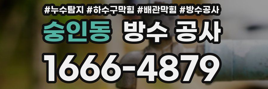 숭인동 방수 공사