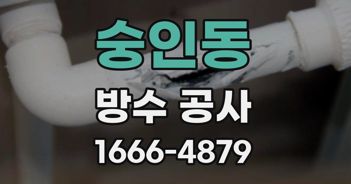 숭인동 방수 공사