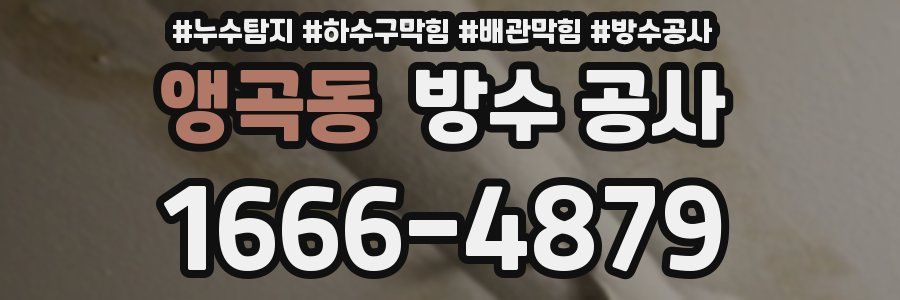 앵곡동 방수 공사