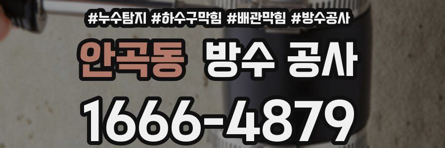 안곡동 방수 공사