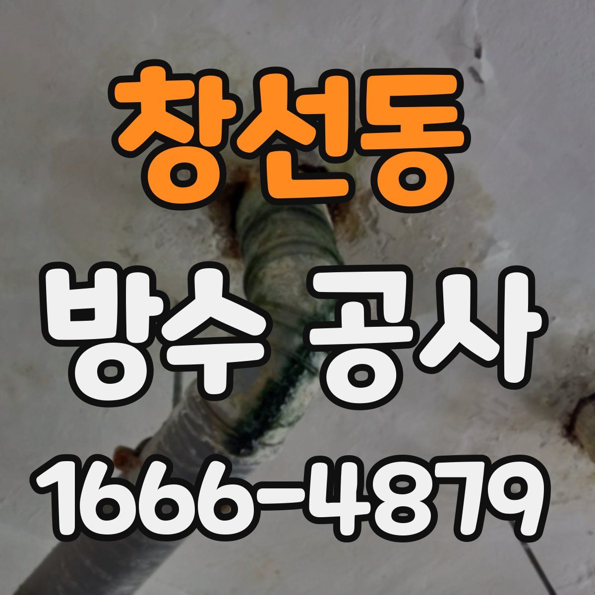 창선동 방수 공사