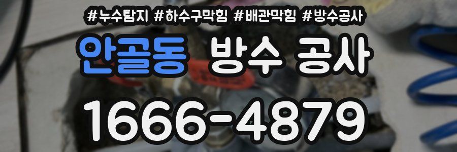 안골동 방수 공사