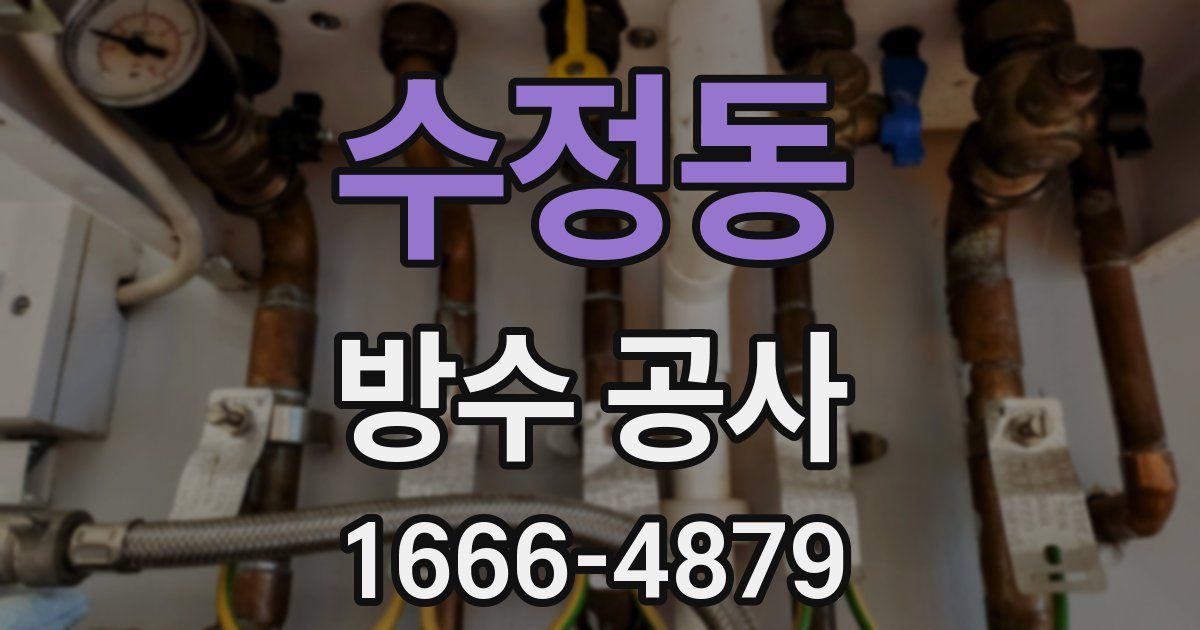 수정동 방수 공사