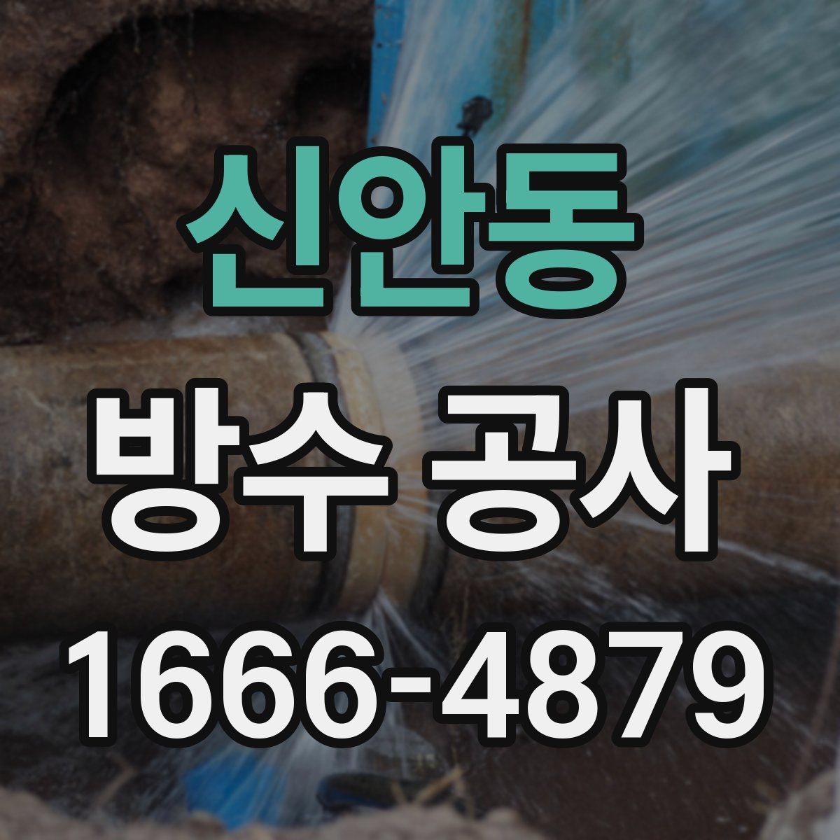 신안동 방수 공사