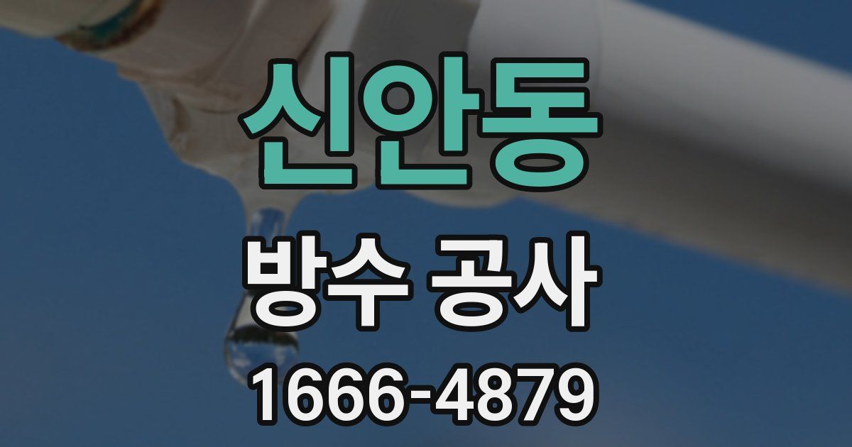 신안동 방수 공사