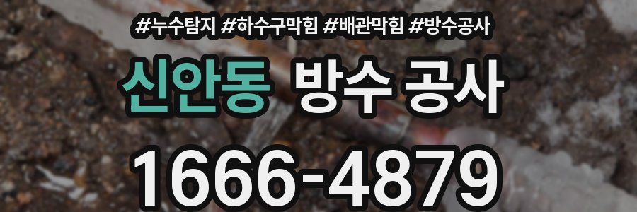 신안동 방수 공사