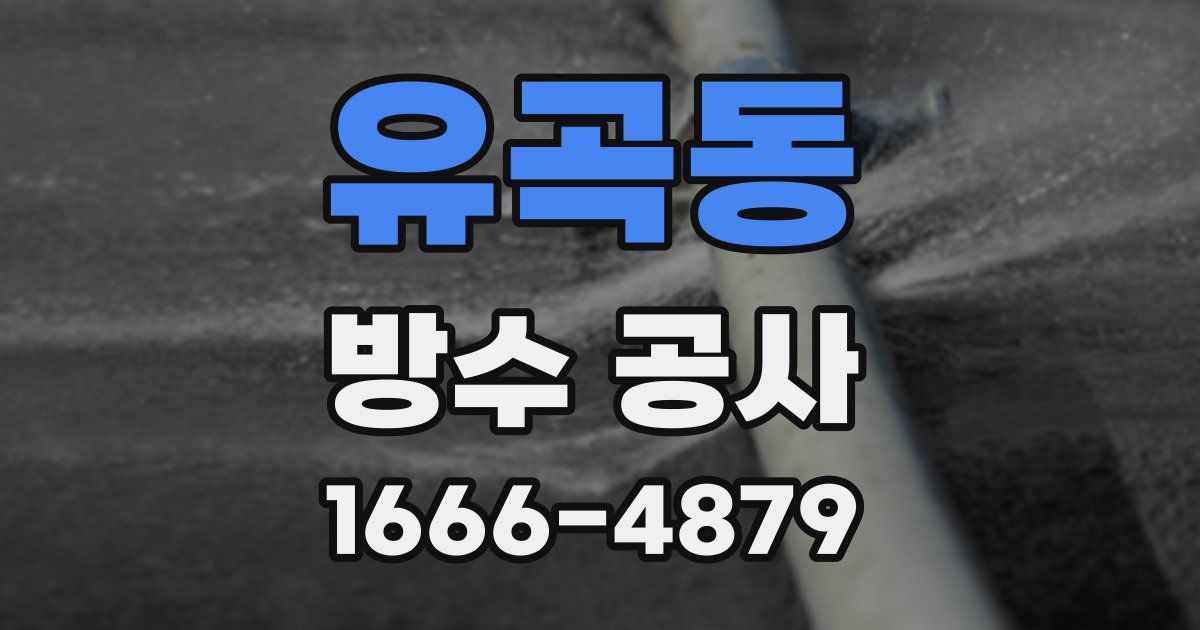 유곡동 방수 공사