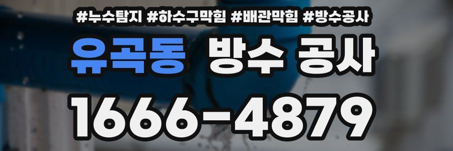 유곡동 방수 공사