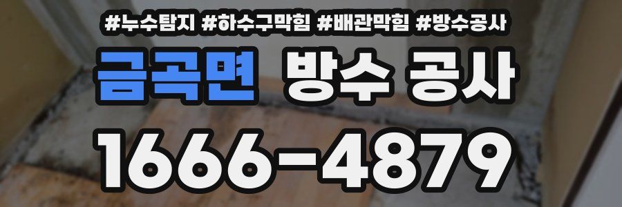 금곡면 방수 공사