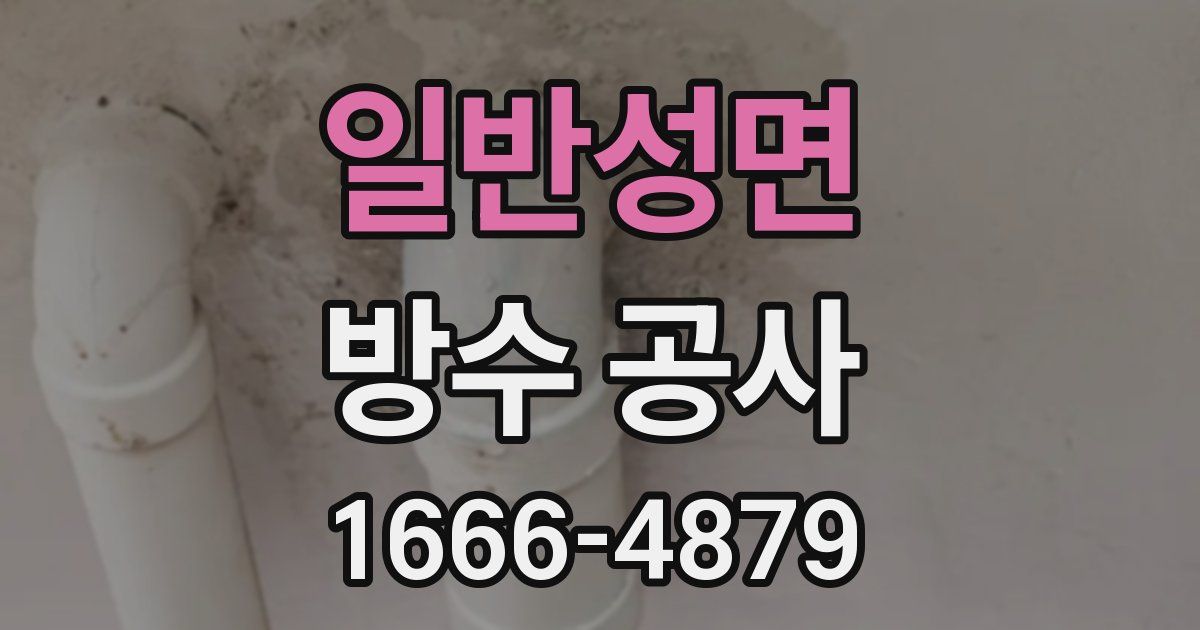 일반성면 방수 공사