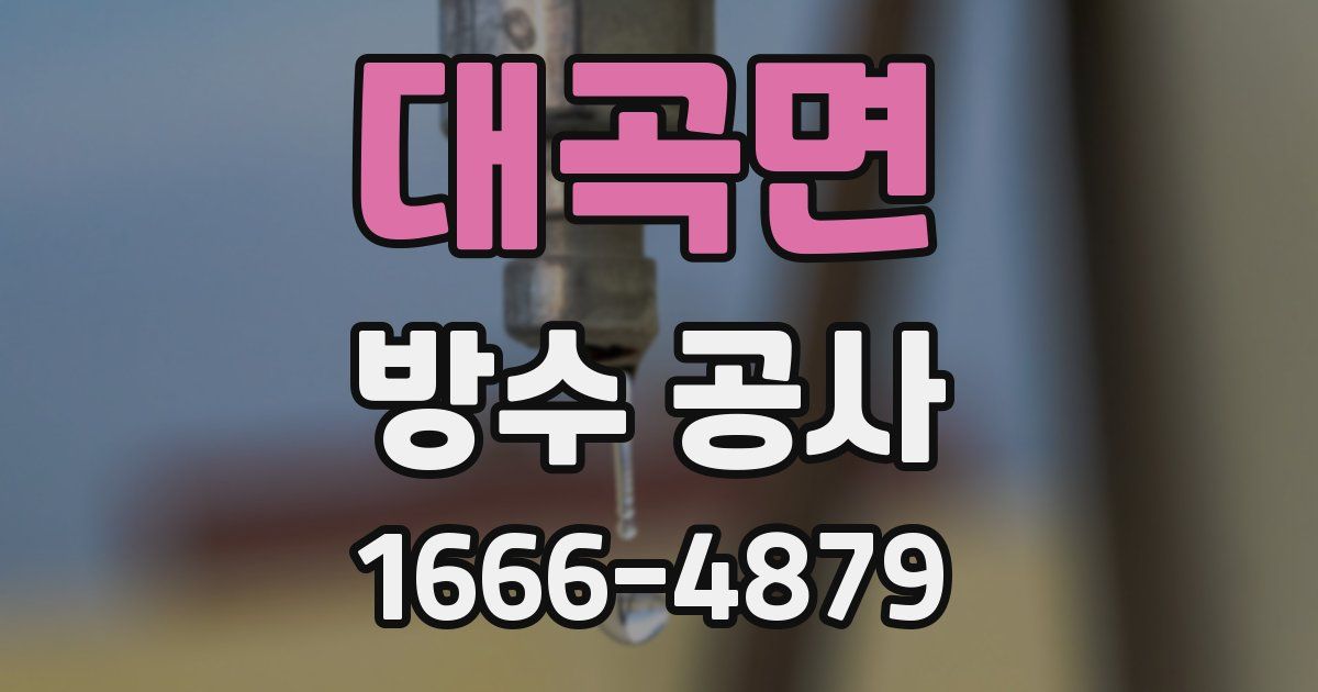 대곡면 방수 공사