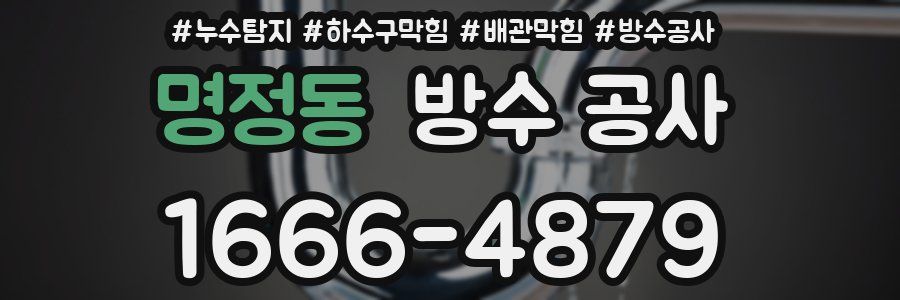 명정동 방수 공사