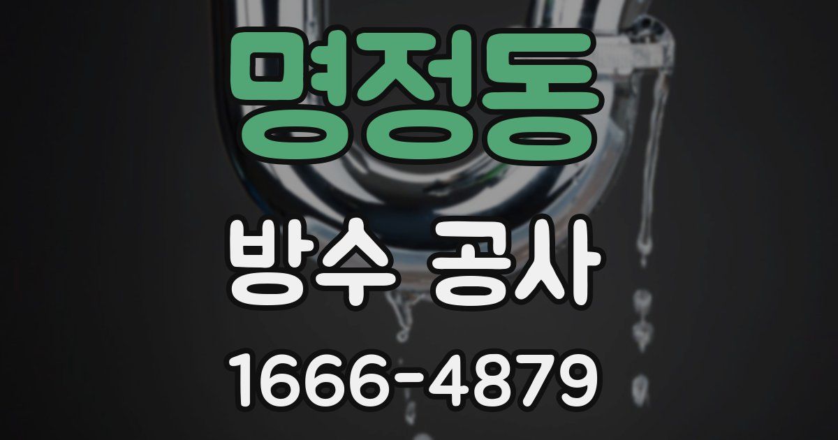 명정동 방수 공사