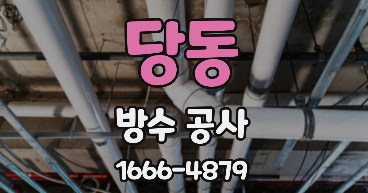 당동 방수 공사