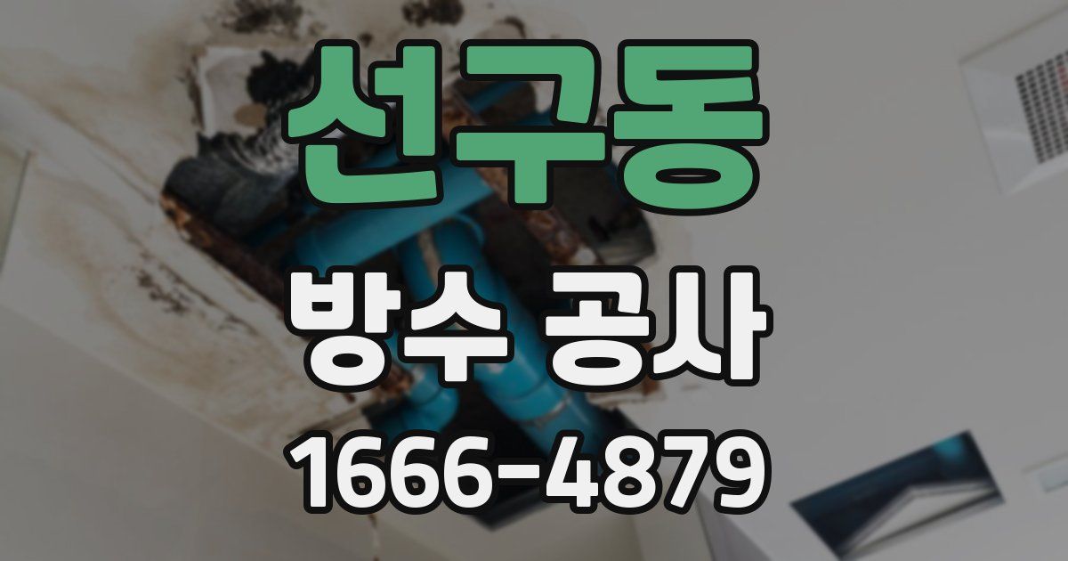 선구동 방수 공사
