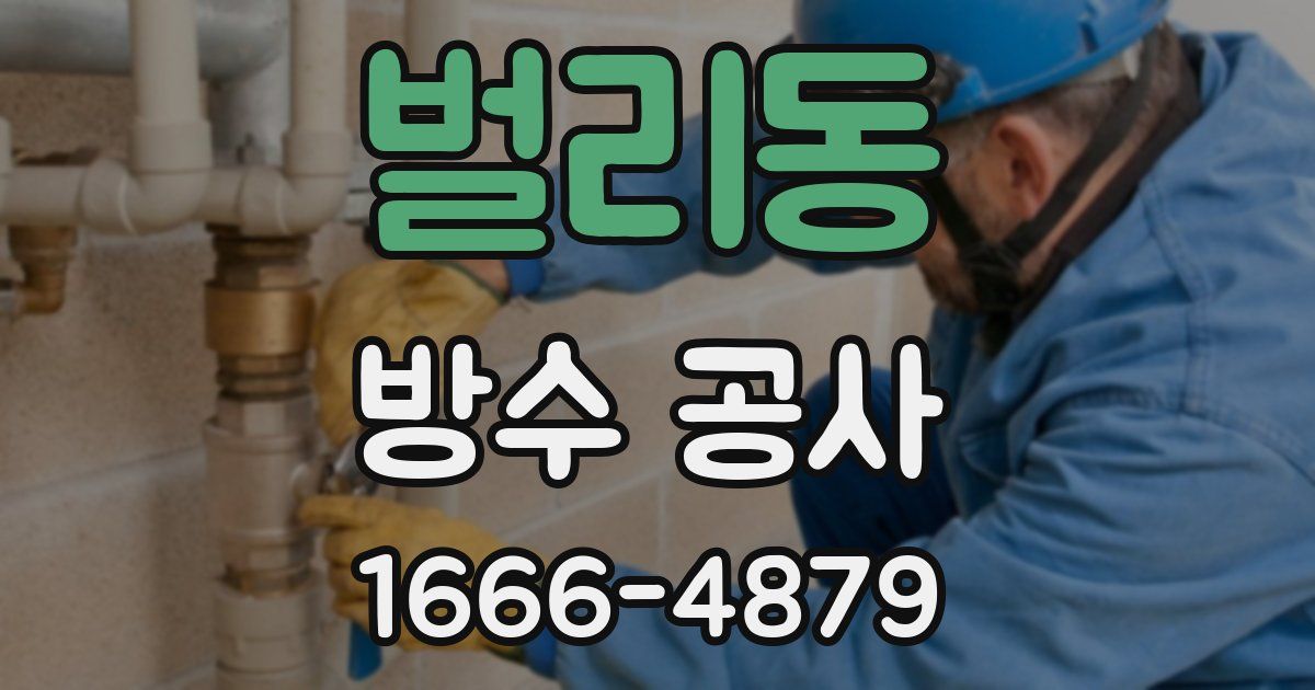 벌리동 방수 공사