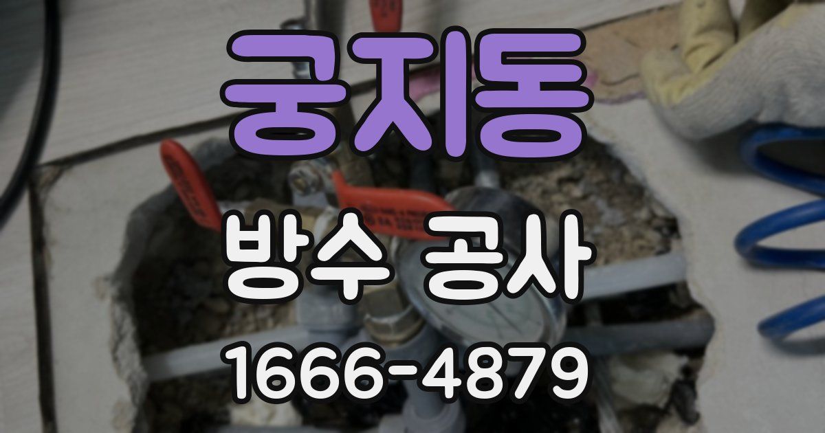궁지동 방수 공사