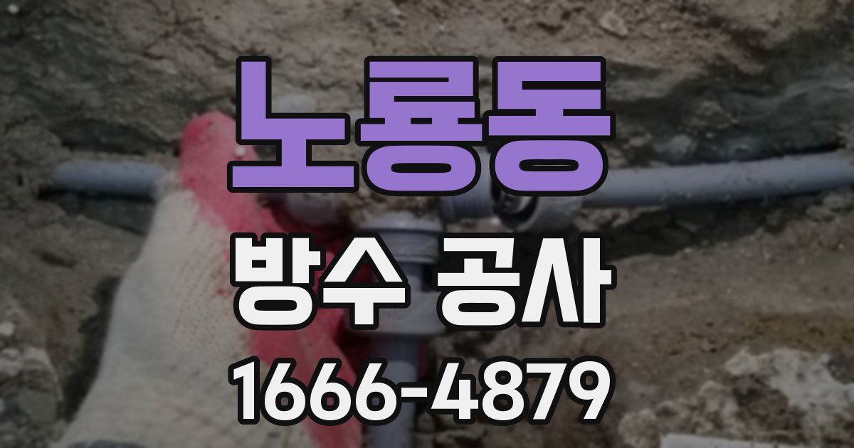 노룡동 방수 공사