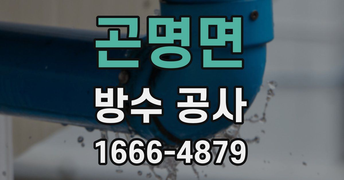 곤명면 방수 공사