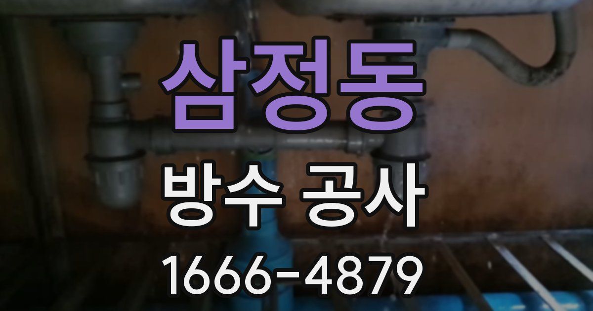 삼정동 방수 공사