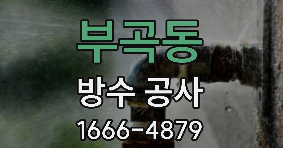부곡동 방수 공사