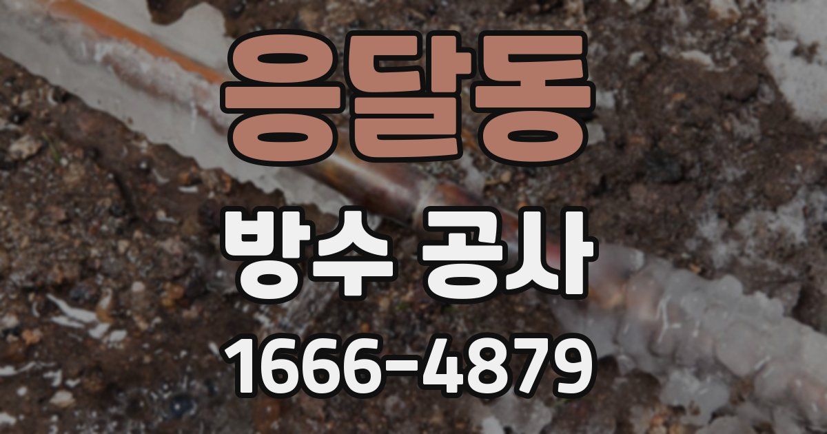 응달동 방수 공사