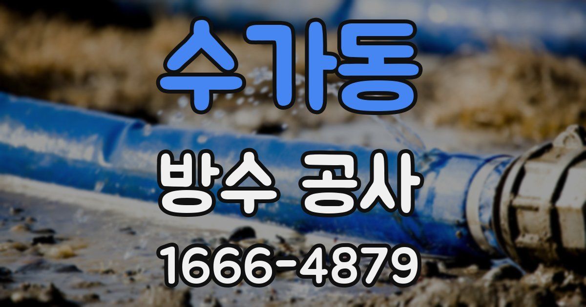 수가동 방수 공사