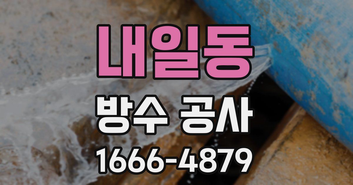 내일동 방수 공사