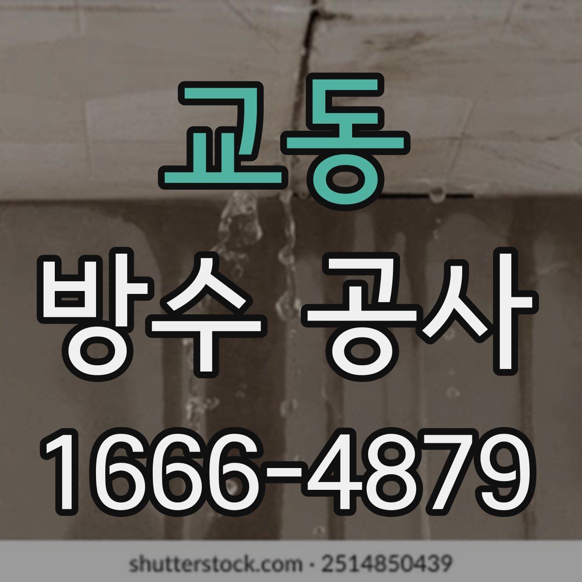 교동 방수 공사
