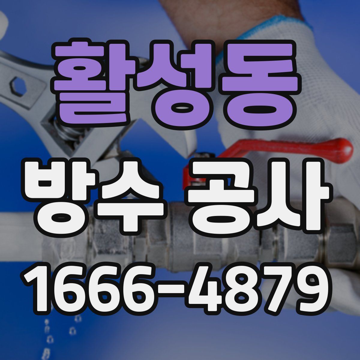 활성동 방수 공사