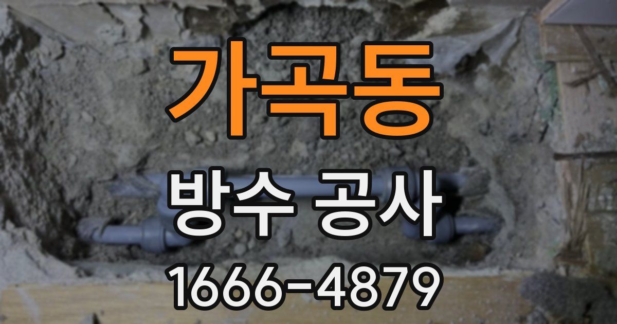 가곡동 방수 공사